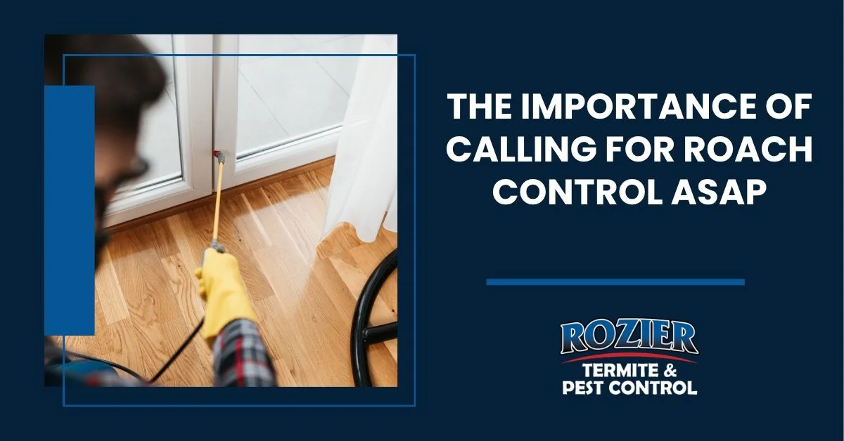 The Importance of Calling for Roach Control ASAP