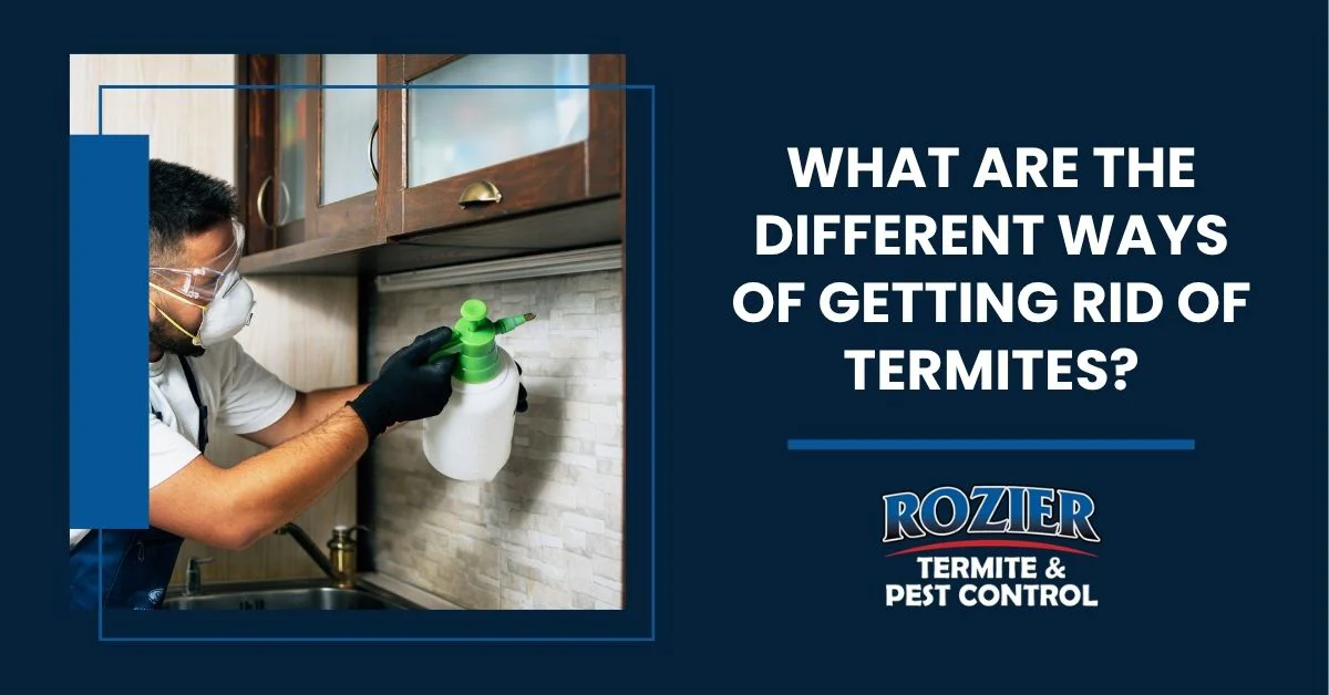What are the Different Ways of Getting Rid of Termites?